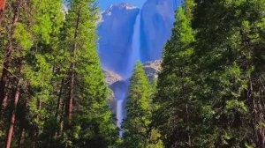 Красивые кадры Земли и животных!... 🍀