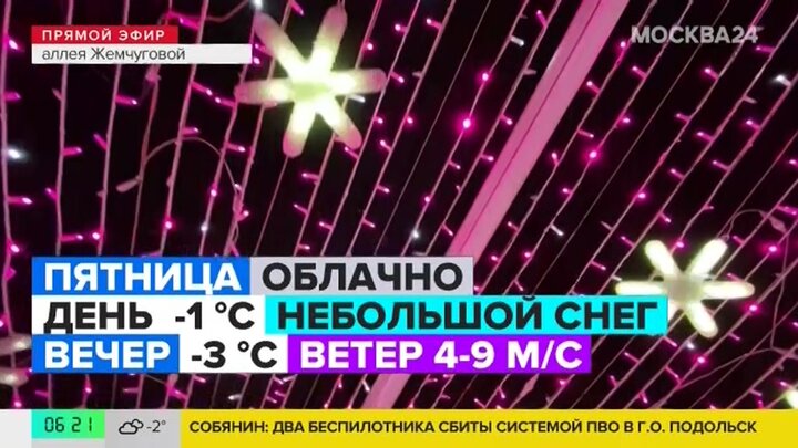 "Утро": скорость ветра в Москве составит 4–9 м/с 24 января