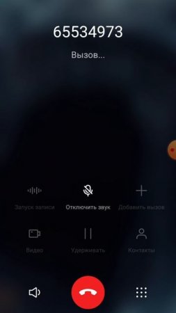 я позвонил смайл догу и он ответил😶
