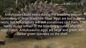 Terra Nova lore: Ankylosaurus