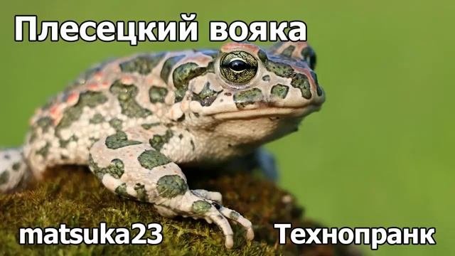 ПЛЕСЕЦКИЙ ВОЯКА  Технопранк от Matsuka23