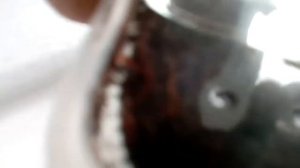 Посылка  с коконами Дендробены в Улан-Удэ