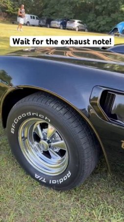 The Legendary Trans AM _ #cars #dodge #trendingshorts