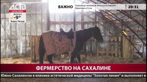 Помощь аграриям на Сахалине