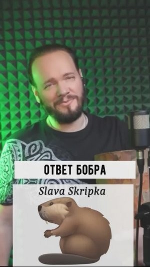 ОТВЕТ БОБРА на песню Slava Skripka - Бобр #романбобров #бобркурва #бобр #bobrkurwa #slavaskripka