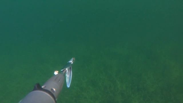 Подводная охота, эффект присутствия, рыбалка на карьере. Красота под водой. Прикольно получилось. смотреть онлайн