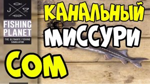 Fishing Planet  Канальный Сом.