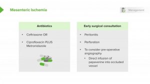 3.09 Mesenteric Ischemia- Management