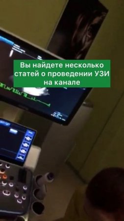 такса Лада на УЗИ сердца