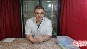 Глобальное значение цвета щенка