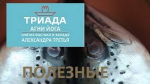 ПРИГОТОВЛЕНИЕ ГОЛОВЫ ЛОСОСЯ ОТ 2025-01-24