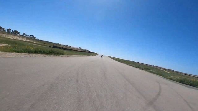 Roi Follows Kobi and Gal Barda смотреть онлайн