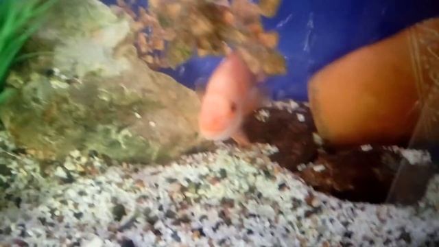 700 литров обслужка смотреть онлайн