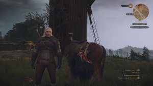 Ведьмак 3. №5 Грифон