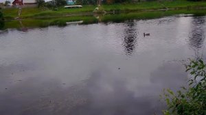 Поплавок с отводным поводком для травы и течения