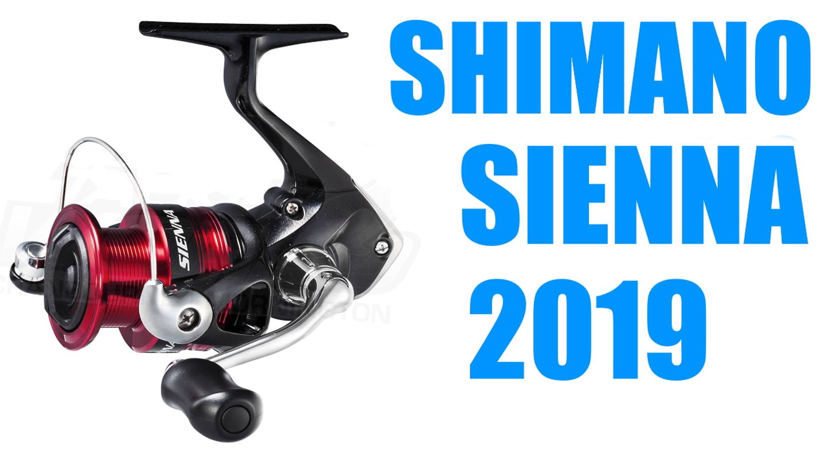 Shimano SIENNA 19 FG - ТЮНИНГ