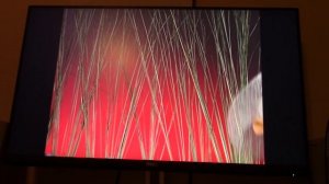 Baby Einstein in July Season 2 Episode 10: Baby Dolittle's World Animals