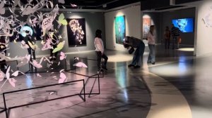 Эрарта, Санкт-Петербург! Лучшие фрагменты из выставок! 2023