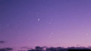 Tiësto, Ava Max - The Motto (Lyrics) #Tiesto #AvaMax #TheMotto