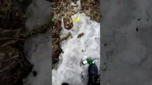 ищем вейпы