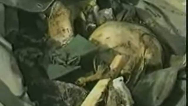 War in ex yugoslavia vier 4/6 смотреть онлайн