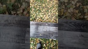 Деление на пол лёта в улье Удав.