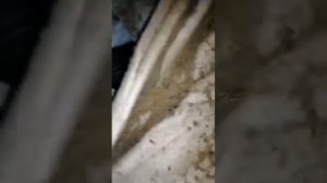 Как сделать дренаж на склоне/ Подключение дренажного колодца