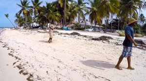 КАРИБСКИЕ СНЫ.СЕЗОН ДОЖДЕЙ.VISTA SOL.