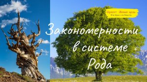 Закономерности в системе Рода