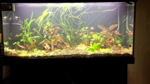 Миниперезапуск травника 400 литров