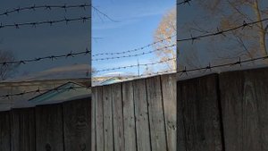 16.01.2024 Сборник#1 Ускорение Улица Красногвардейская Комсомольск-на-Амуре Хабаровский край