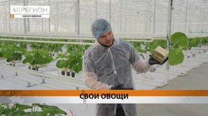 Новости Камчатки за 24 января 2025 года