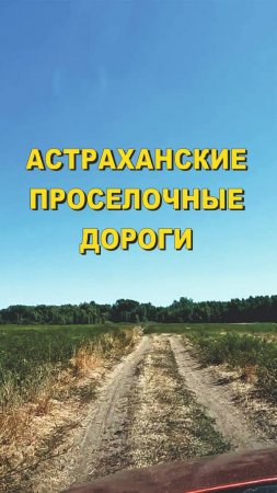 Астраханские проселочные дороги 2024, #shorts #travel #asmr #roadtrip #road #music