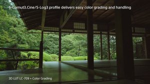 S-Gamut3.Cine/S-Log3 and S-Gamut3/S-Log3 movie | Alpha 7S II | Sony | α