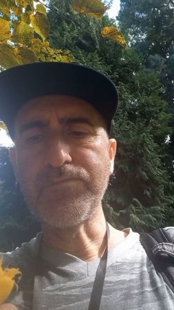 Пробуем плод Юбеи Чилийской. Сухумский ботанический сад.