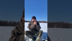 Обзор отечественных манков на белолобого гуся манок на гуменника манок кряква утка Манок свисток