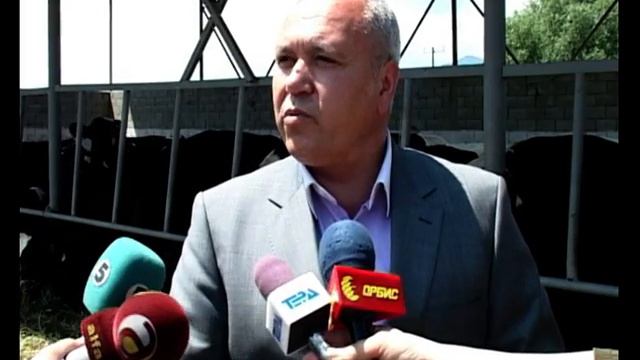 ТВ ТЕРА - Битолската млекара додели 68 високо квалитетни јуници смотреть онлайн