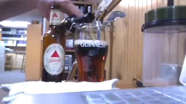 Lagerhead Turtle Black & Tan смотреть онлайн