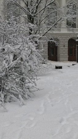 Политехнический университет Петра Великого