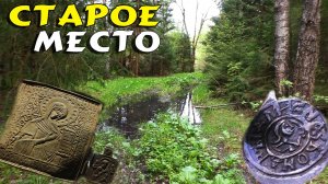 Коп в лесу.Поиск монет в забых местах.