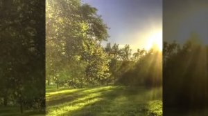 Сергей Чекалин СОЛНЕЧНОЕ УТРО
