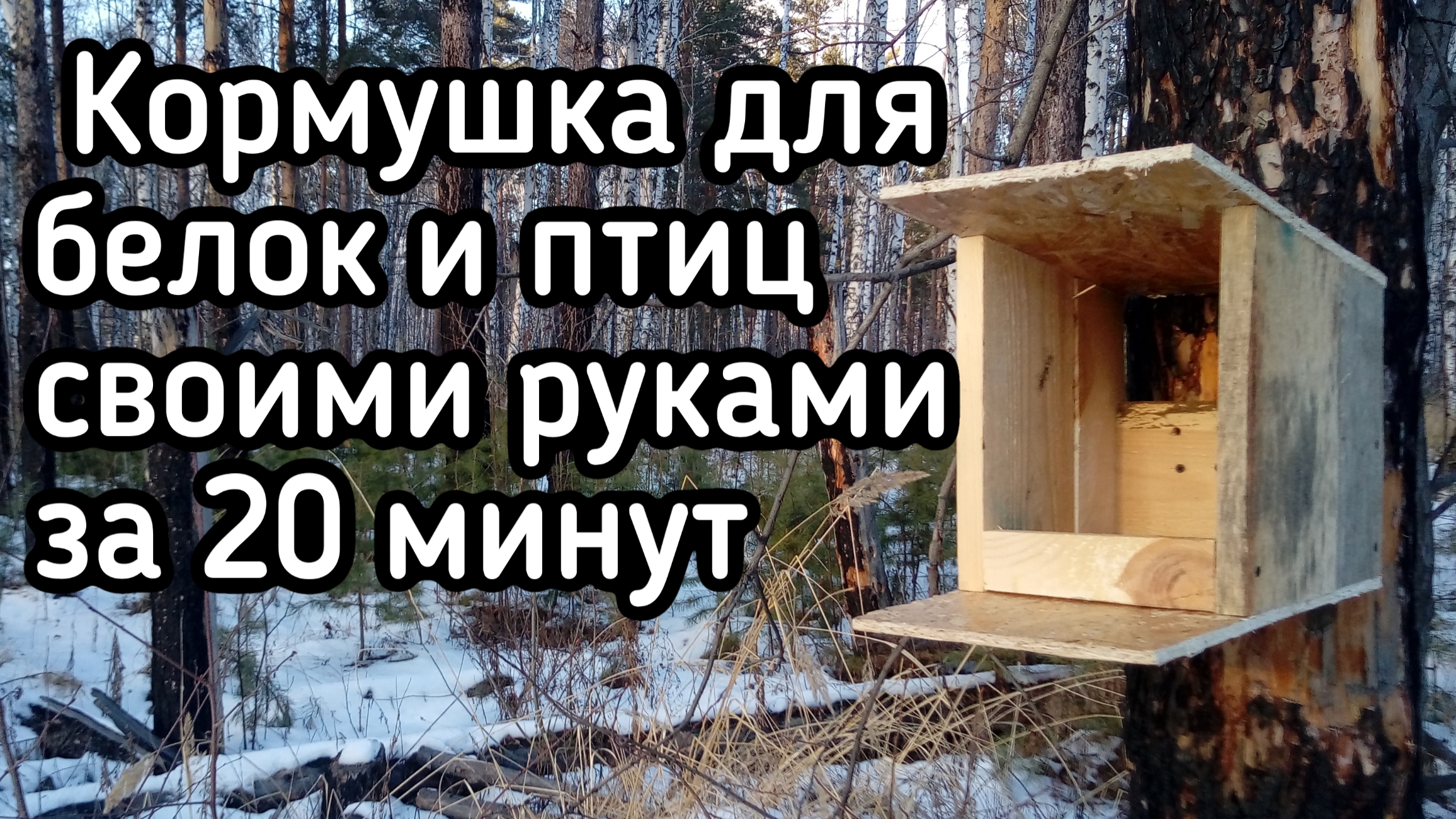 Кормушка для птиц, белок за 20 минут. Своими руками на даче