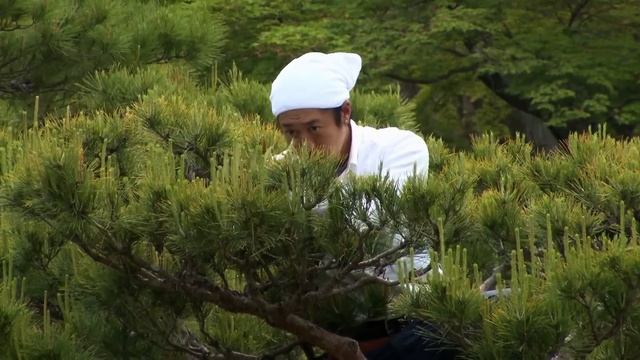 Le Japon mystérieux - Kyoto : entre temples et montagnes - Documentaire voyage - AMP смотреть онлайн