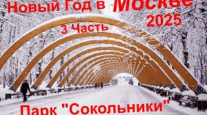 Новый год в Москве 3 часть. Парк "Сокольники"