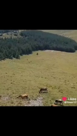 Разное