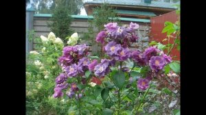 Константиново. Часть 1.