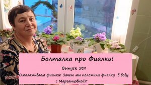 Болталка про Фиалки! Выпуск 50: Омолаживаем фиалки! Зачем мы положили фиалку в воду с Марганцовкой?!