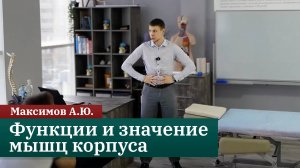 Основа мышечного баланса: функции и значение мышц корпуса. Максимов А.Ю.