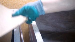 Дендробена.  Переселение малька  с 08 по 10.03.2017г. в новый субстрат на доращивание