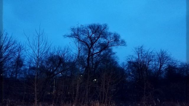 Depressive Black-Metal Playlist vol. 3
